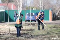 На ул. Чмутова в Туле высадили 50 кленов, Фото: 20