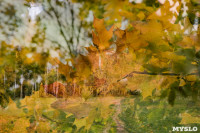 Золотая осень по-тульски, Фото: 113