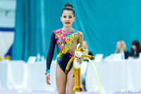 Тула провела крупный турнир по художественной гимнастике, Фото: 133