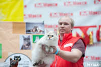 Выставка "Пряничные кошки" в ТРЦ "Макси", Фото: 52