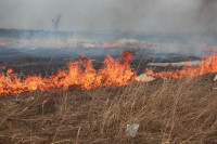 Возгорание сухой травы напротив ТЦ "Метро", 7.04.2014, Фото: 15