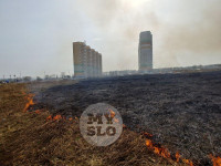 В Туле загорелось поле, Фото: 28