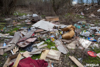 В Туле на берегу Тулицы обнаружен незаконный мусорный полигон, Фото: 22
