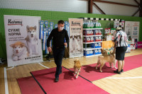 В Туле прошла выставка собак всех пород, Фото: 72