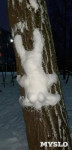 Посмотрите, каких снеговиков лепят туляки!, Фото: 37