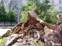 Упавшее дерево перекрыло ул. Болдина, Фото: 3