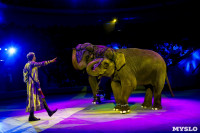 Цирк Инди Ра, Фото: 96