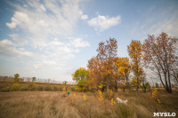Золотая осень в Тульской области, Фото: 41