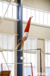 Спортивная гимнастика в Туле 3.12, Фото: 15