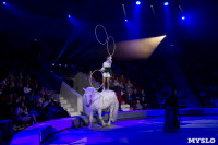 Хоровод в Тульском цирке, Фото: 110
