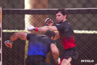Турнир по ММА памяти Алексея Калинина собрал лучших бойцов страны: фоторепортаж, Фото: 167