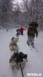 Зимний поход с собаками, Фото: 11