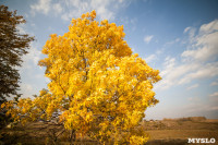 Золотая осень в Тульской области, Фото: 28