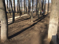 Субботник в Комсомольском парке с Владимиром Груздевым, 11.04.2014, Фото: 4