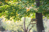 Золотая осень по-тульски, Фото: 82