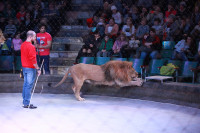 Новая программа в Тульском цирке «Нильские львы». 12 марта 2014, Фото: 19