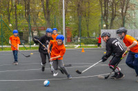 Дворовый хоккей: в Туле и Новомосковске определили сильнейшие команды , Фото: 19
