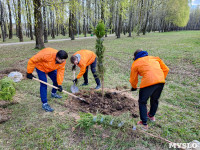 ЕВРАЗ посадил в Пролетарском парке 100 деревьев, Фото: 24