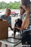 В тульском «Макси» прошел благотворительный фестиваль помощи животным, Фото: 11