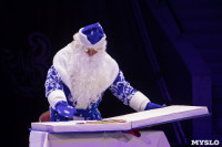 Премьера новогоднего шоу в Тульском цирке, Фото: 76