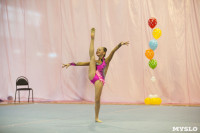 Соревнования по художественной гимнастике "Тульский сувенир", Фото: 64