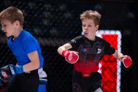 В «Тула-Арене» состоялись областные соревнования по ММА, Фото: 103