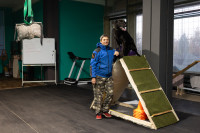 Хвостатые волонтеры: как собаки ищут пропавших живых и мертвых, Фото: 26