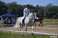 В Ясной поляне стартовал турнир по конному спорту, Фото: 41