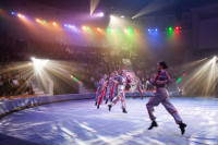 Выпускной бал в Тульском цирке, Фото: 15