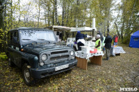 В Веневском районе высажено 24 тысячи сосен, Фото: 19