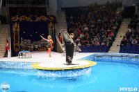 Цирк на воде «Остров сокровищ» в Туле: Здесь невозможное становится возможным, Фото: 87