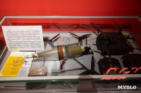 В тульском парке «Патриот» открылась выставка «Хроники террора украинского неонацистского режима» , Фото: 22