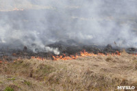 В Мясново загорелось поле, Фото: 3