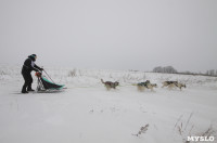 Гонки на собачьих упряжках «Большой тур» на Куликовом поле, Фото: 114