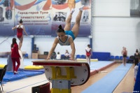 Всероссийские соревнования по спортивной гимнастике, Фото: 54