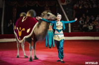 «Шоу Слонов» в Тульском цирке, Фото: 12