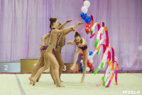 Всероссийские соревнования по художественной гимнастике на призы Посевиной, Фото: 101