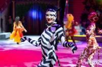 Цирковое шоу Жар птица, Фото: 80