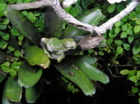 , Фото: 45