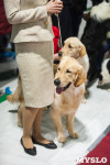 Выставка собак в Туле, Фото: 116
