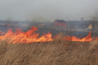 Возгорание сухой травы напротив ТЦ "Метро", 7.04.2014, Фото: 32