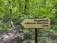 В нацпарке «Земля леопарда» открыта новая экотропа, Фото: 17