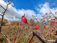 Село Панино десятки лет живет без дорог и воды, Фото: 8
