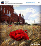 Цветочный джем: Тульское поле в Москве, Фото: 21