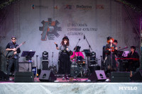 фестиваль стимпанк-культуры Ferrum, Фото: 23