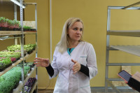 Елена Киеня выращивает микрозелень, Фото: 5