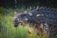 Парк динозавров, Фото: 9