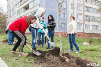 Акция "Слободы" и Myslo: Сажаем Аллею Доброты-2, Фото: 39