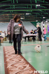 Выставка собак в Туле , Фото: 76