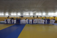 В Туле прошел юношеский турнир по дзюдо, Фото: 45
